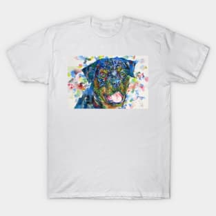 ROTTWEILER watercolor portrait .1 T-Shirt